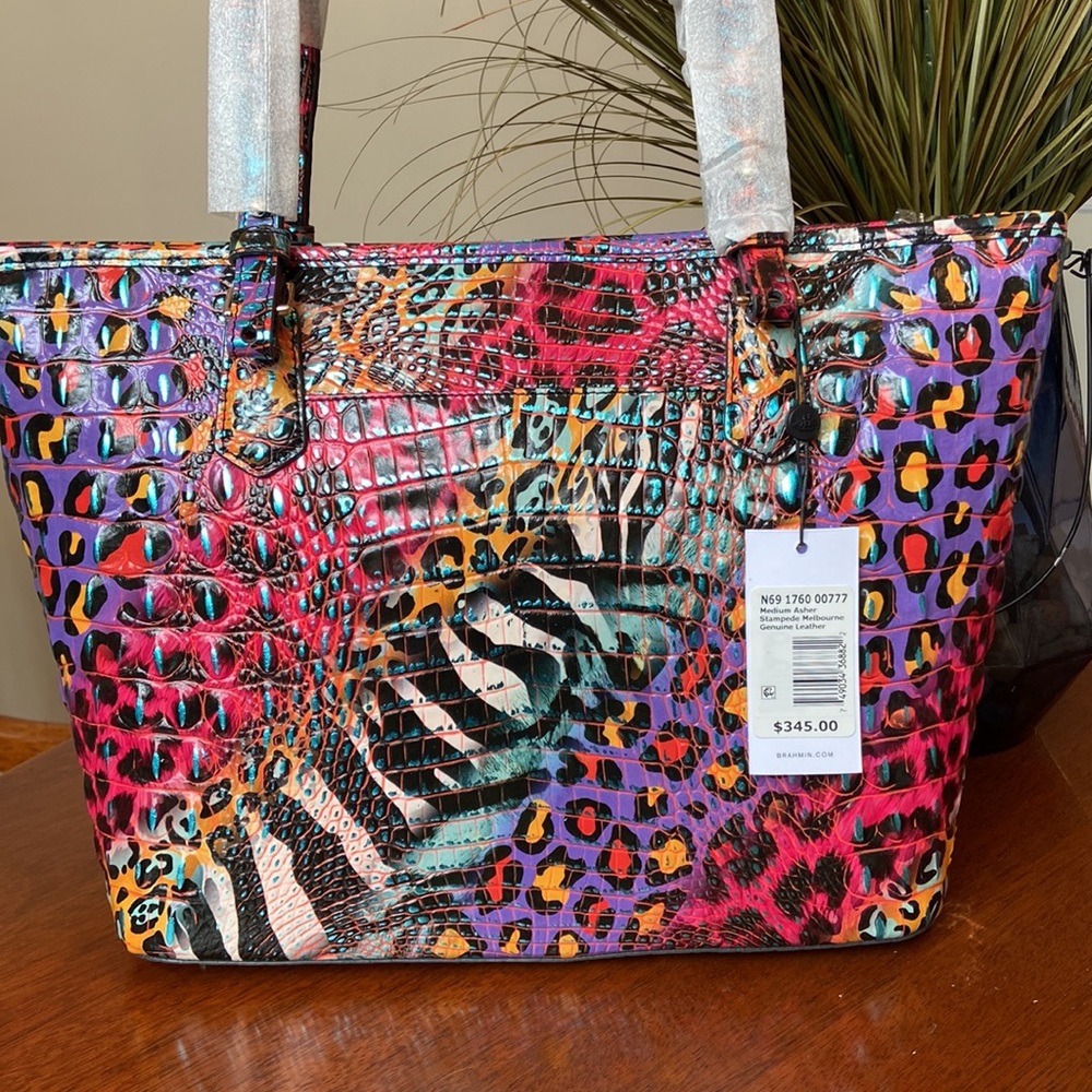 Vibrant Brahmin Medium Asher Stampede Melbourne